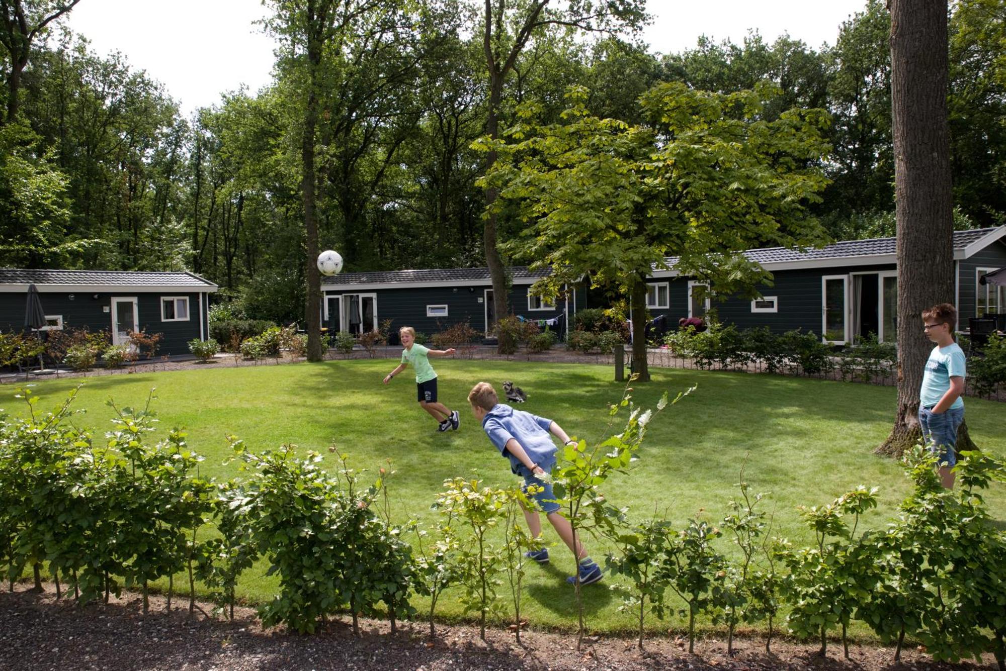 Vakantiepark Bonte Vlucht Doorn Zewnętrze zdjęcie
